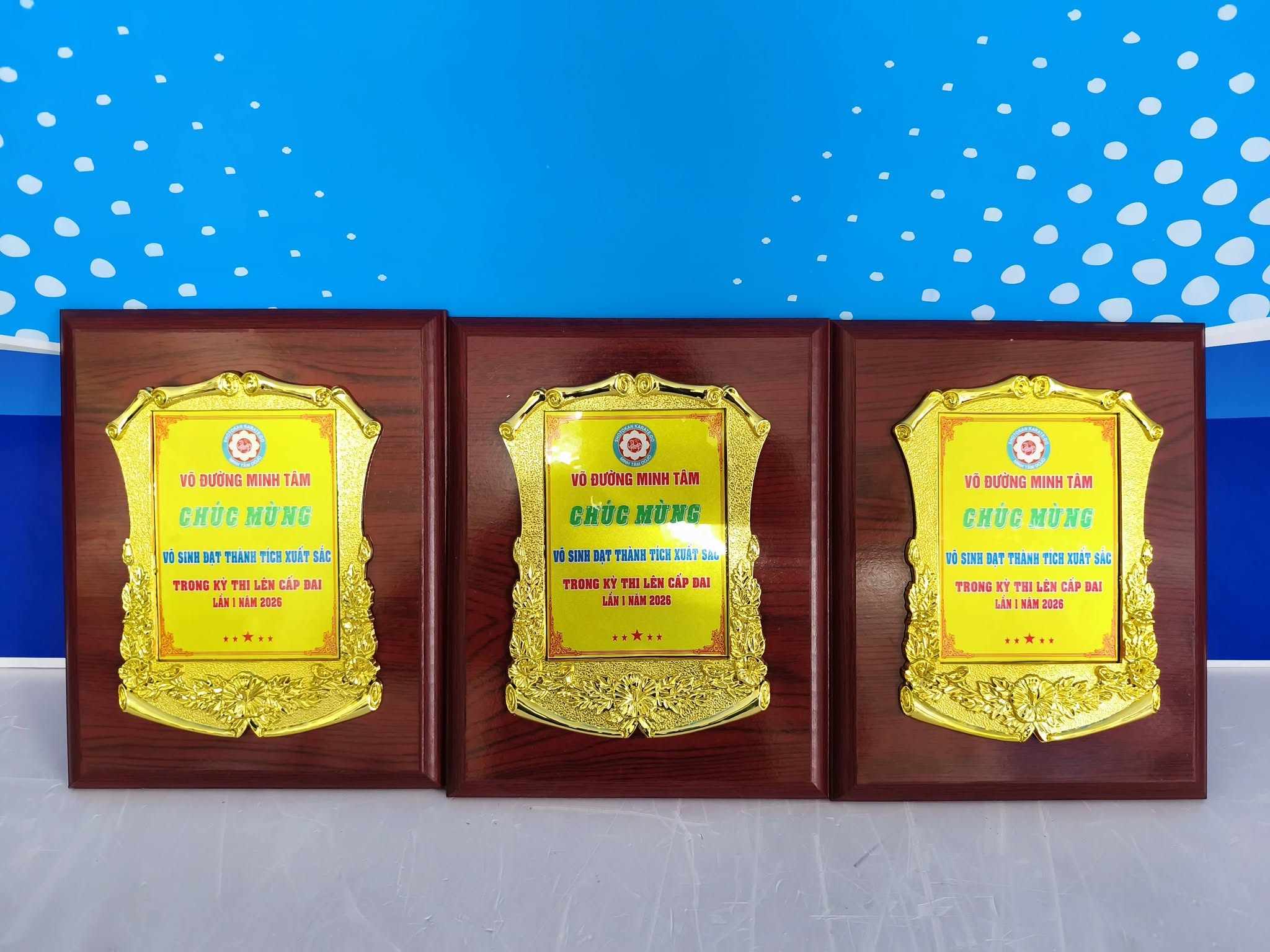 Kỷ niệm chương