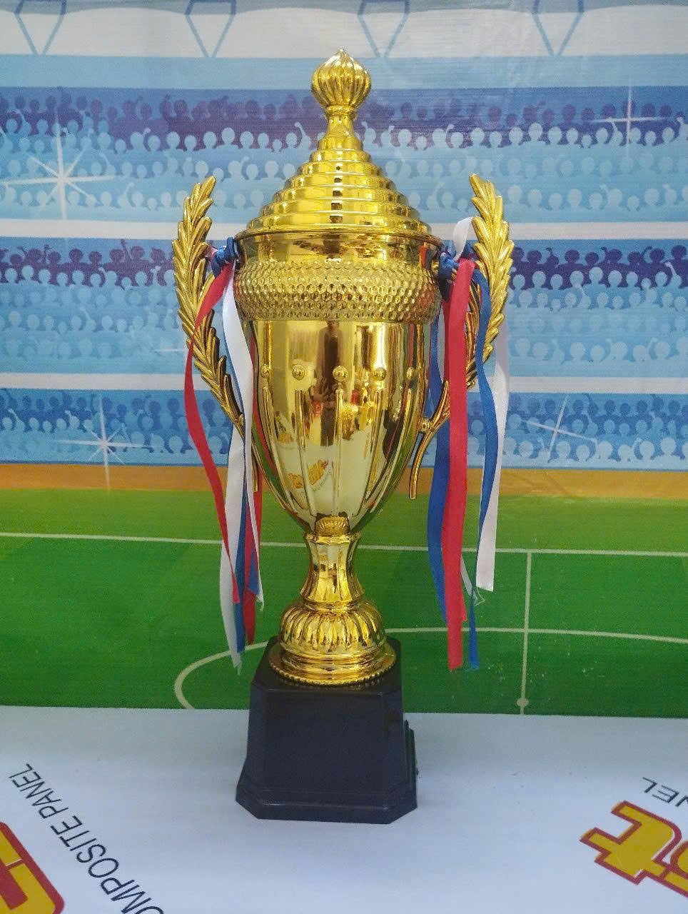 Cúp nhựa - Ảnh 2