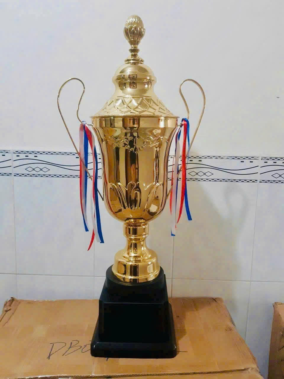 Cúp kim loại - Ảnh 3