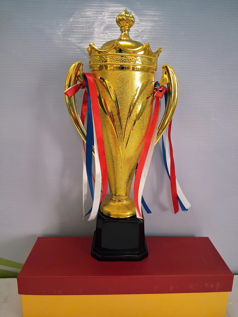 Cúp nhựa - Ảnh 3